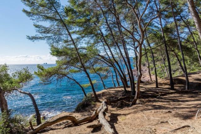 Studio Climatise Avec Jardin Et Plage A 250M Saint-Mandrier-sur-Mer Exterior photo